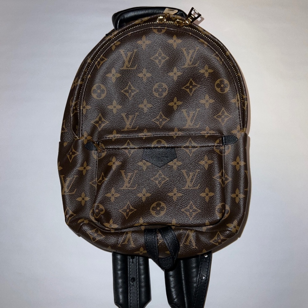 BRAND NEW!!! Louis Vuitton Palm Springs backpack PM
